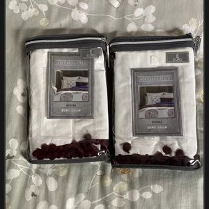 Set of 2 NEW Anthology Arianna 1 Euro Sham Pillow Case IVORY PLUM 26x26 Cotton
